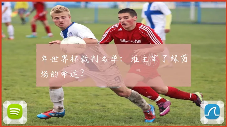 年世界杯裁判名单：谁主宰了绿茵场的命运？