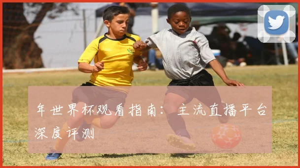 年世界杯观看指南：主流直播平台深度评测