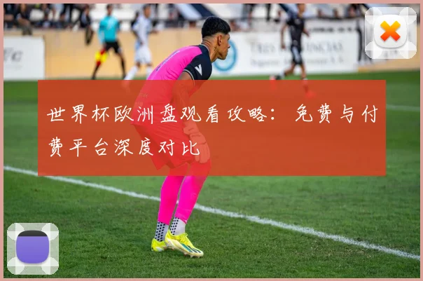 世界杯欧洲盘观看攻略：免费与付费平台深度对比