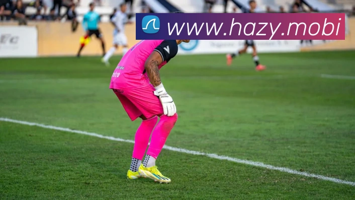 开云app入口注册平台生态图